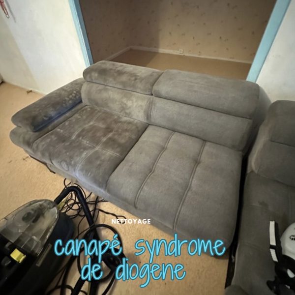 nettoyage canape syndrome de diogène